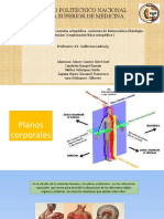 Biomecanica Articular