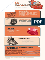 Sistema Cardiovascular