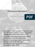 Calcareous Nannofosil