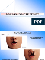 LP3_AP_S2_MD_patologie aparat digestiv