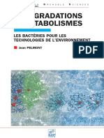 Biodégradations Et Métabolismes Les Bactéries Pour Les Technologies de l'Environnement