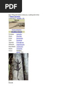 Download Biawak by Dedi Cahyanto SN49978352 doc pdf