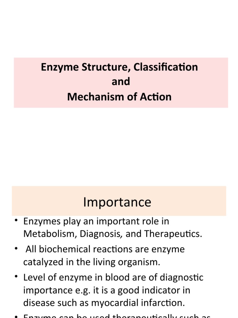 Enzyme Structure and Mechanism Explained | PDF | Cofactor (Biochemistry ...