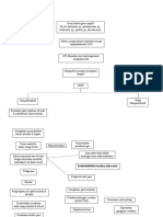 Pathway ARDS