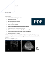 Curs - Ultrasonografie Clinică de Bază