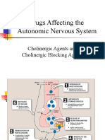 Choline RG Ics Abbreviated