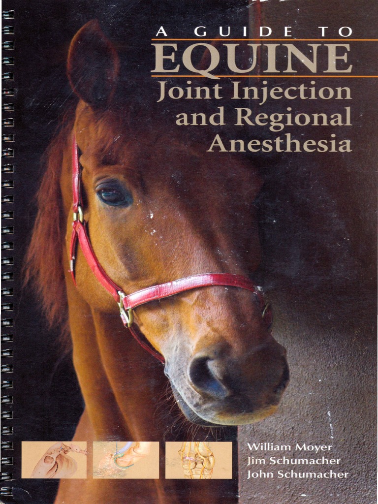 Equine Guide Regional Nerve Blocks PDF
