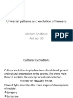 Universal Patterns and Cultural Evolution of Humans