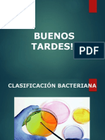 Clasificación de Las Bacterias Mauro Figueroa