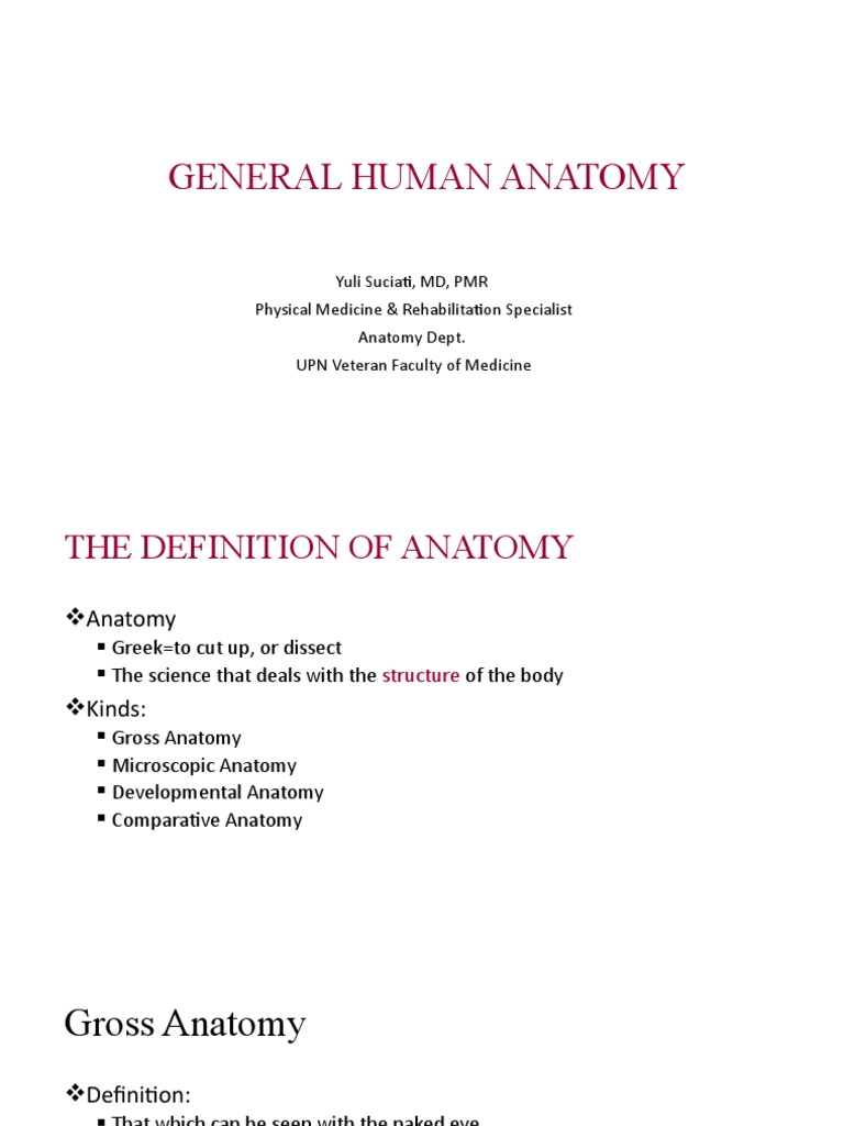 Anatomical Terms Of Location Biology Diagrams