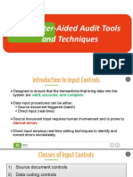 Computer-Aided Audit Tools
