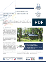 01 Fichatematica Delincuenciaambiental