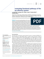 Characterizing Functional Pathways of The Human Ol