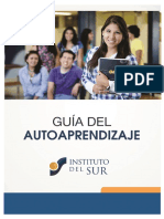 Guia Autoaprendizaje