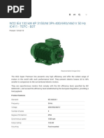 WEG 132kW Specification