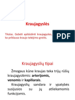 Kraujagyslės