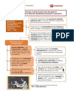 Els Progressos en El Procés Industrialitzador