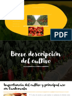 Chile Cultivos de Exportacion