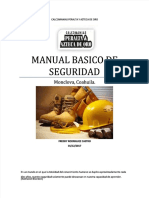 Manual de Seguridad