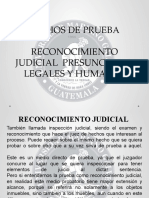 4 PRUEBA RECONOCIMIENTO JUDICIAL Y PRESUNCIONES (1)