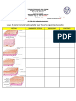 Tarea 2.2 Tejido Epitelial Histo 1 DR Luis Perez Mendez