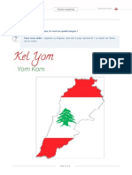 DF2020 Liban A2 Materiel