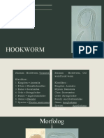 Hookworm