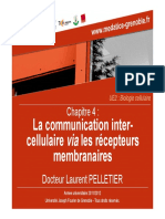 Pelletier Laurent p04