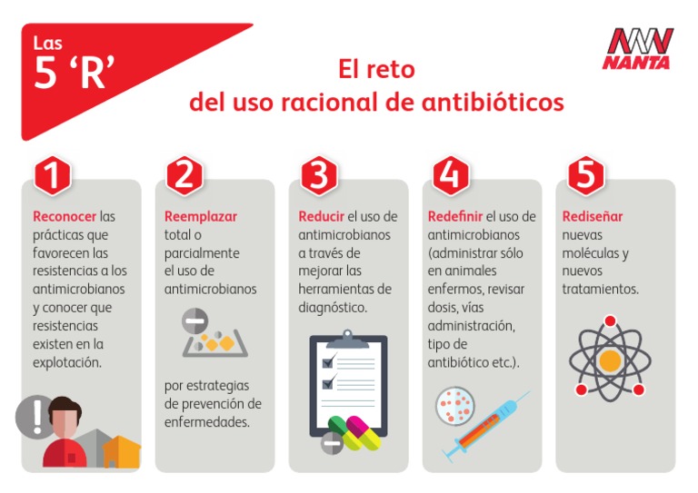 Estrategias de las 5 R en Antimicrobianos | PDF | Relaciones personales ...