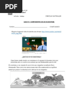 Guia N°2 Componentes de Un Ecosistema 4to Basico