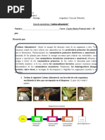 Guia de Cadena Alimentaria Cuarto Básico