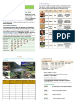 Ciencias-Clasficación de Los Seres Vivos 6to Grado.