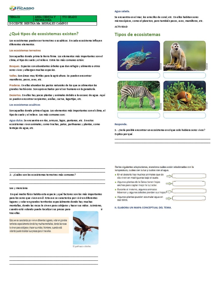 Tipos de ecosistemas y sus características | PDF | Ecosistema | Suelo