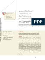 Alveolar Surfactant Homeostatis and The Pathogenesis of Pulmonary Disease