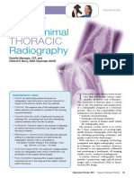 Radiograph Thorax Vet Practice 2011