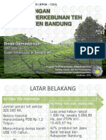 Pengembangan Kawasan Perkebunan Teh di Kabupaten Bandung