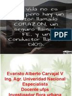 Problematica de La Flora Urbana de CÚCUTA, Por Falta de Politicas de Ordenamiento Paisajistico.