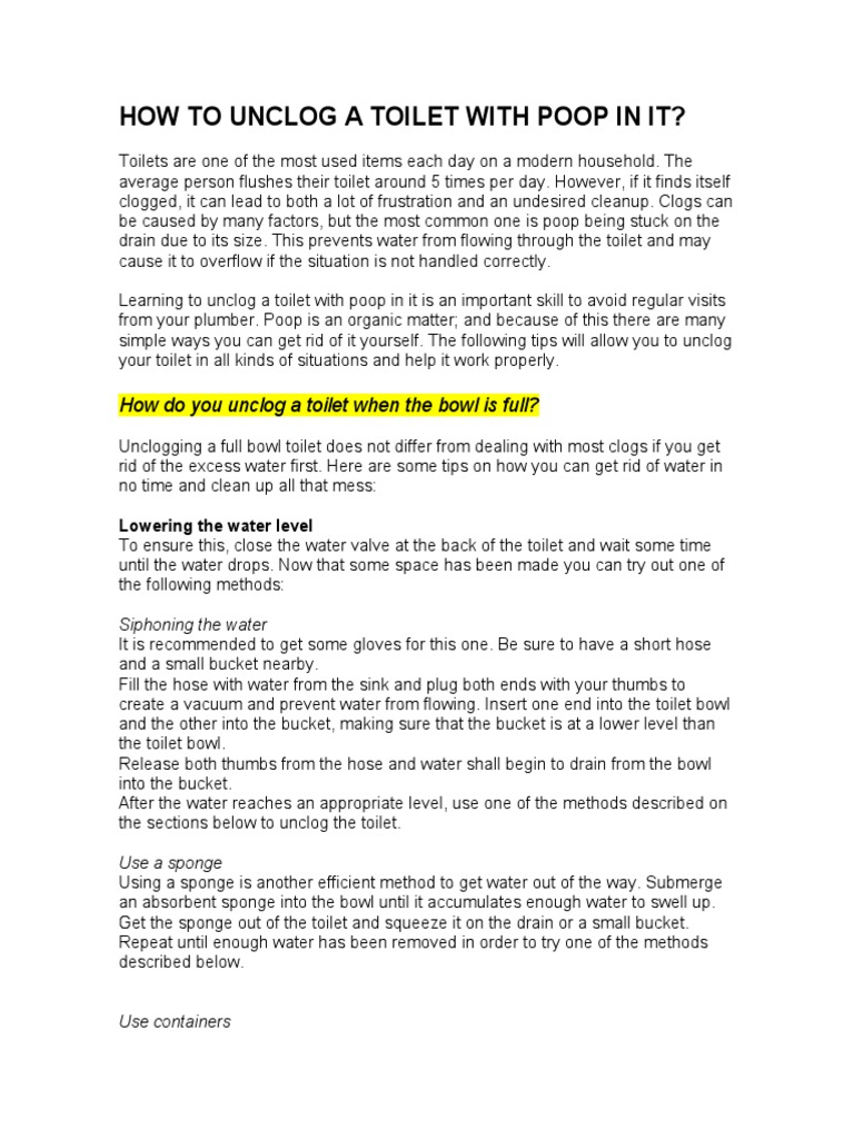 A Comprehensive Guide to Unclogging a Toilet with Poop and Preventing