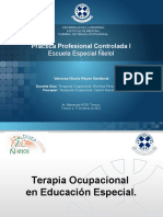 1° - Terapia Ocupacional en Educación Especial