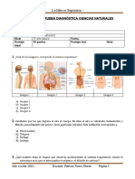 Prueba Diagnóstica 2021