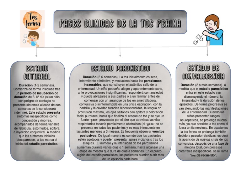 Fases Clínicas de La Tos Ferina Leonardo Cabeza | PDF | Tos ...