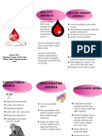 Leaflet Anemia