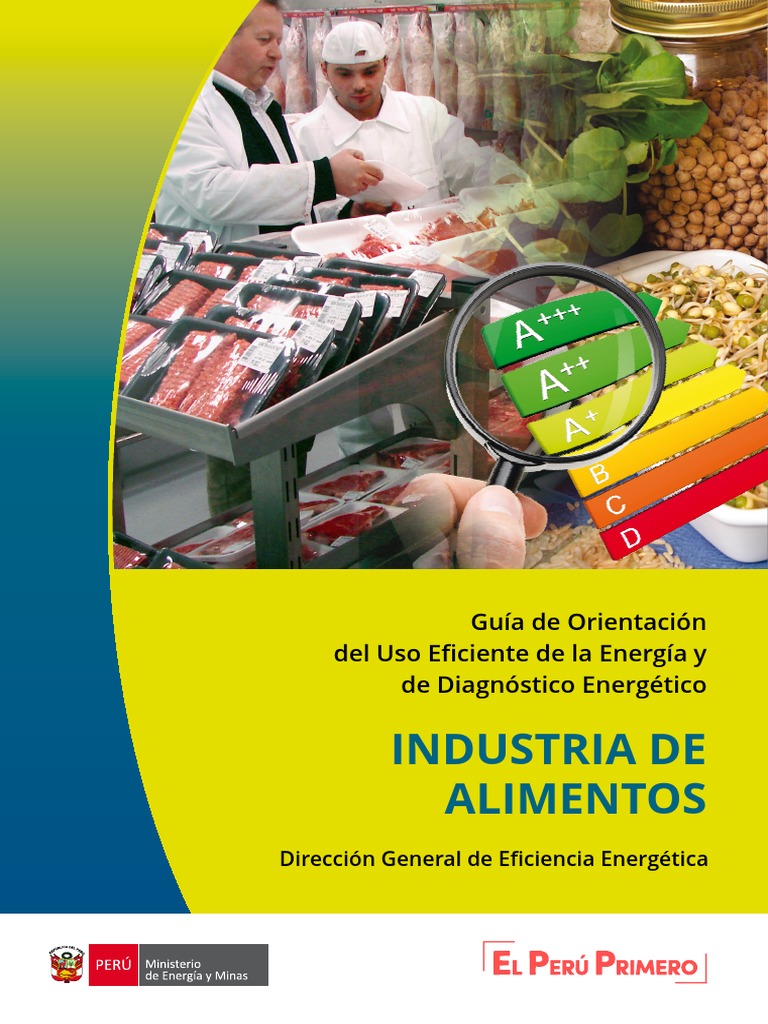 Eficiencia Energética en la Industria Alimentaria | PDF | Uso eficiente ...
