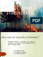 INCENDIOS-FORESTALES_0