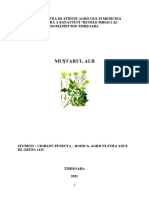 Proiect Culturi Tropicale - Ciobanu Petruta, Agricultura Anul 3, Grupa 1132