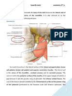 7 Infratemporal Fossa