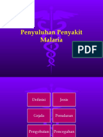 Penyuluhan Penyakit Malaria