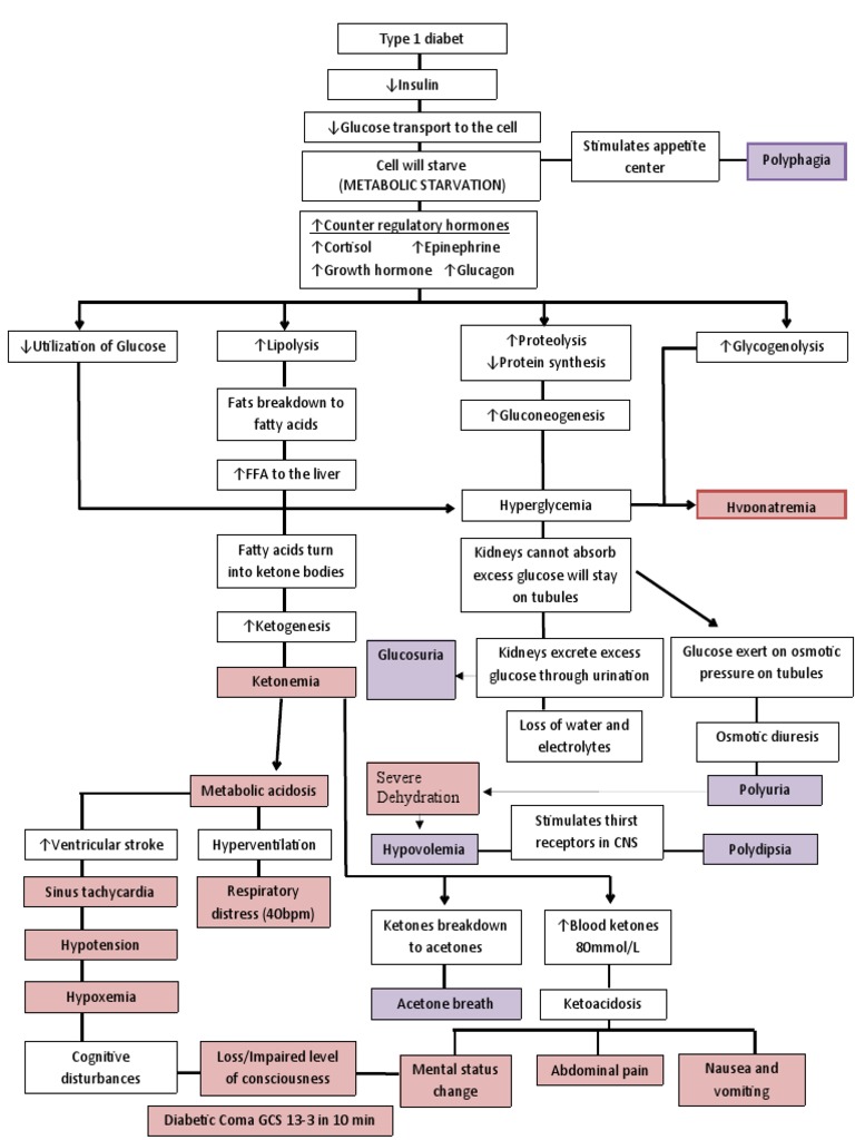 Pathophy 1 | PDF | Physiology | Endocrine
