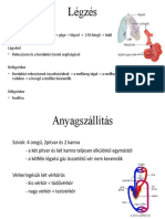 Emlősök Légzés És Anyagszállítás