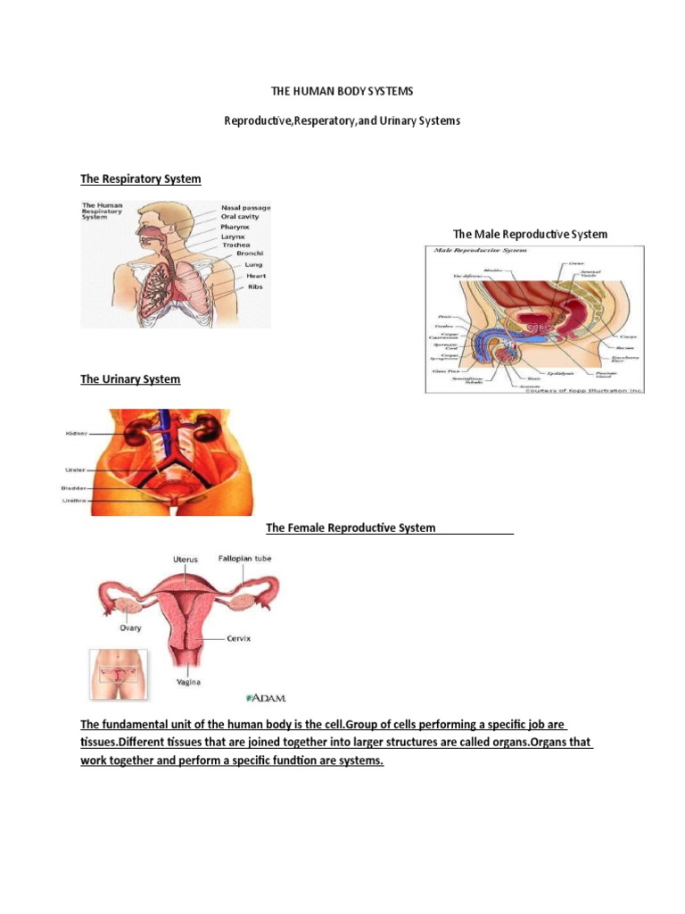 Humanor not? visual data 2